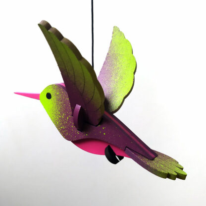 Colibri violet et vert