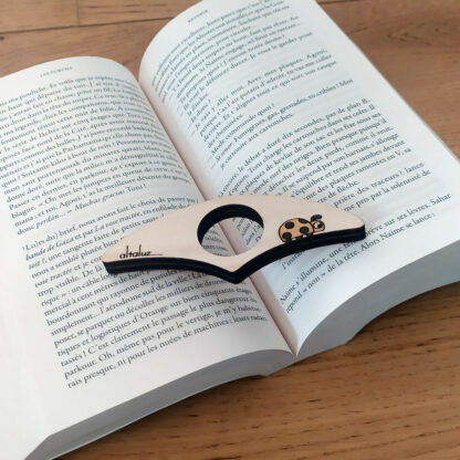 bague de lecture coccinelle